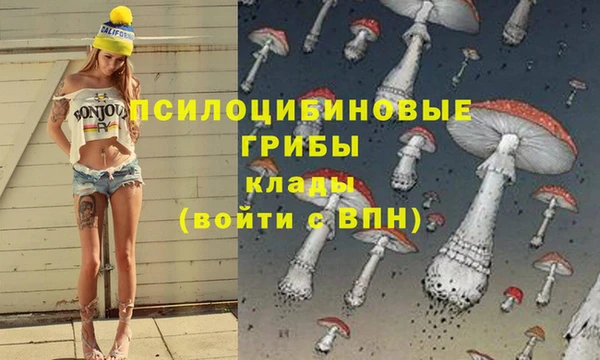 spice Баксан