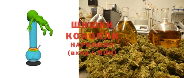 шишки Балабаново